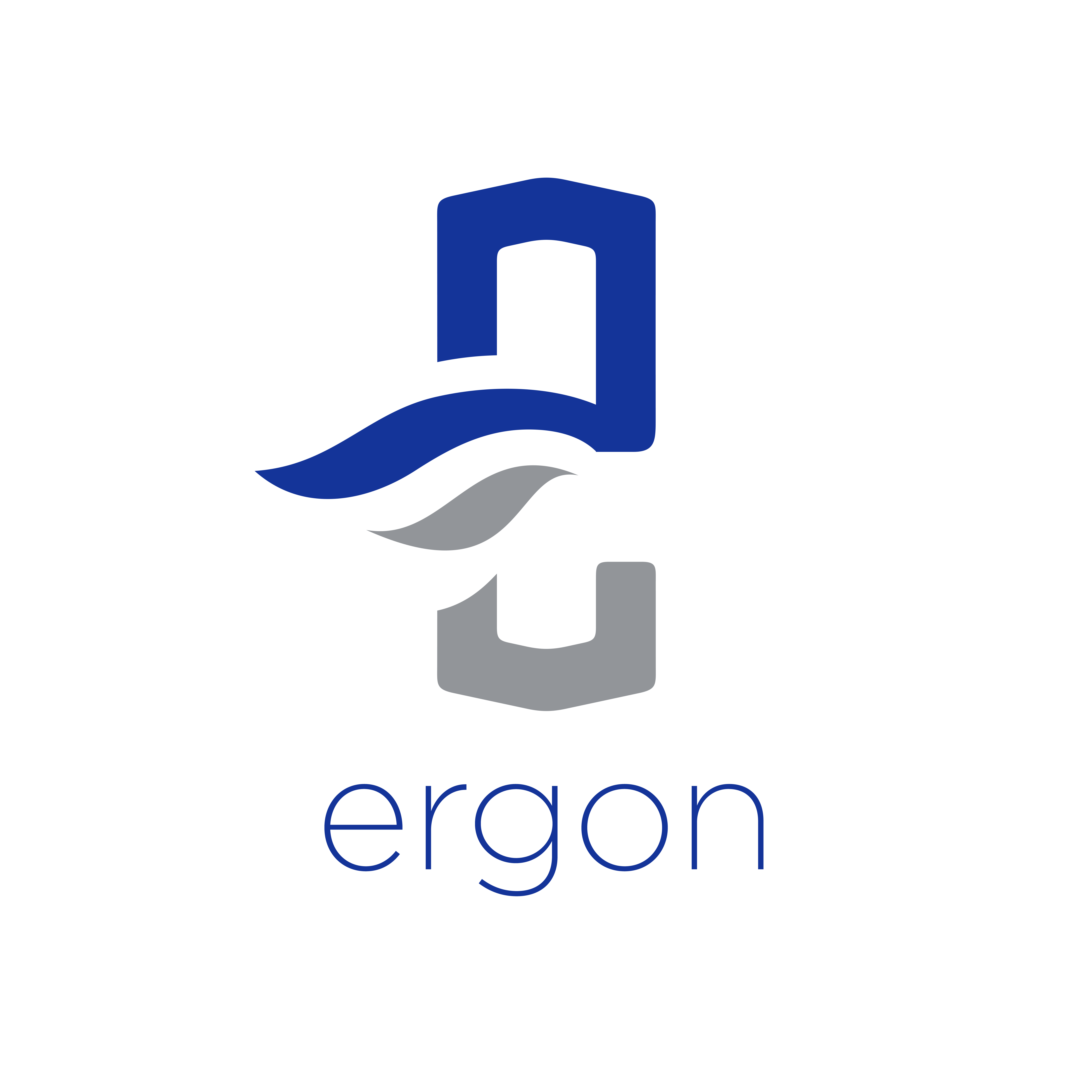 Ergon